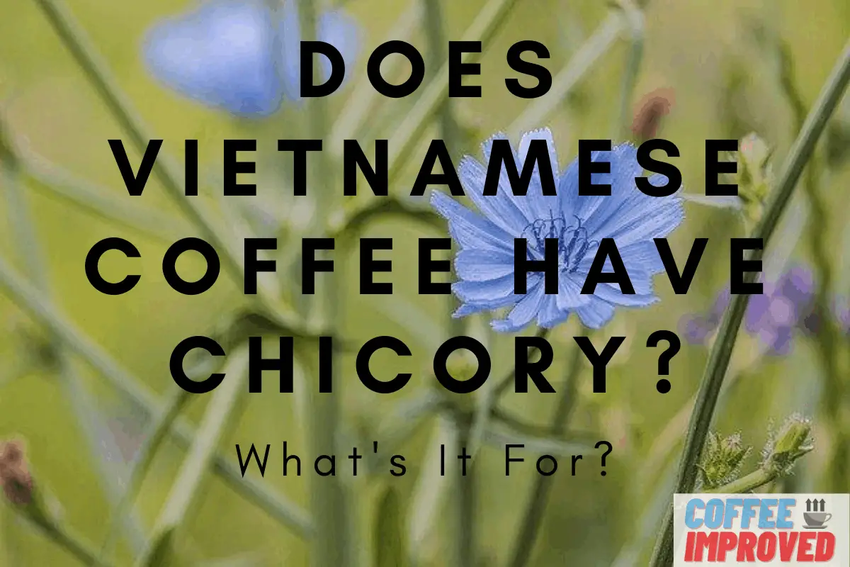 Does Vietnamese Coffee Have Chicory header image