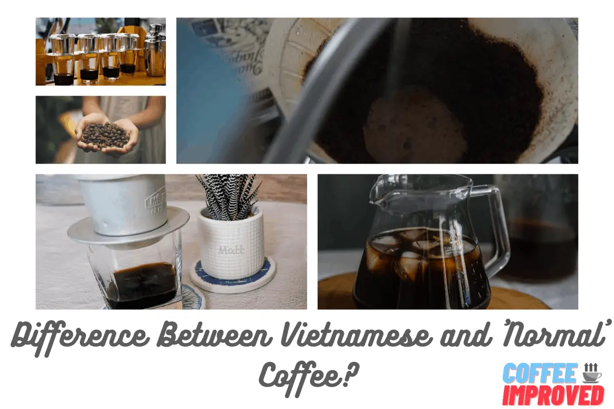 What's the Difference Between Vietnamese and Normal Coffee header image