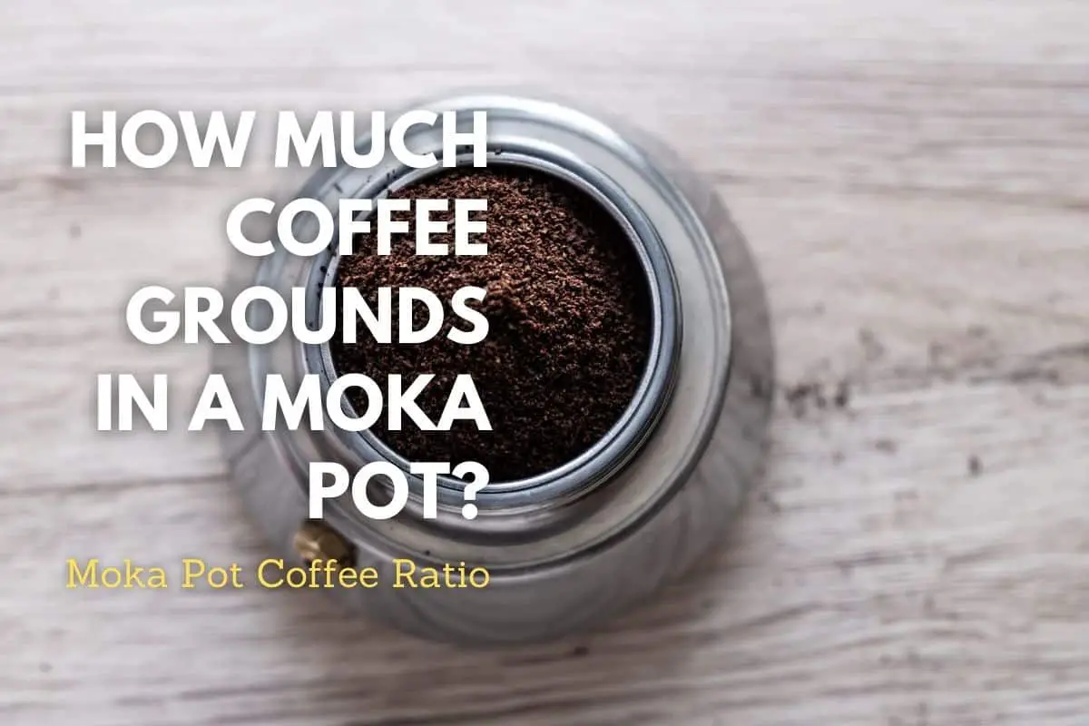 How Much Coffee Grounds In a Moka Pot header image