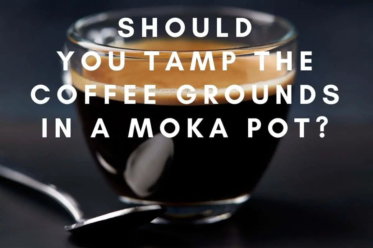 Should You Tamp The Coffee Grounds In a Moka Pot header image