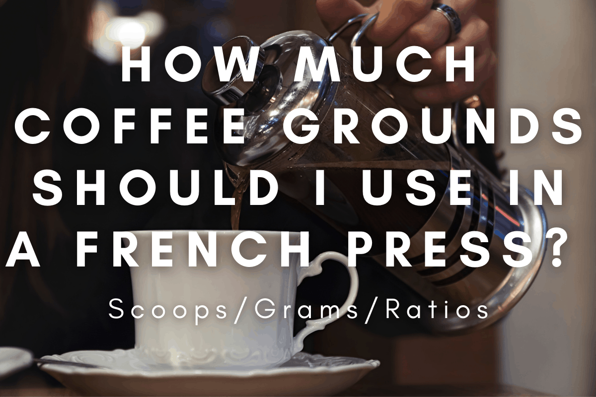 How Much Coffee Grounds In A French Press header image