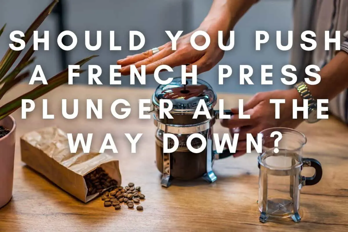 Should You Push a French Press Plunger All The Way Down header image