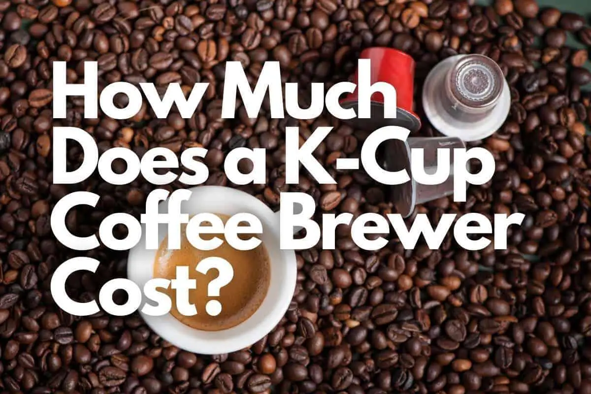 How Much Does a K-Cup Coffee Brewer Cost header image