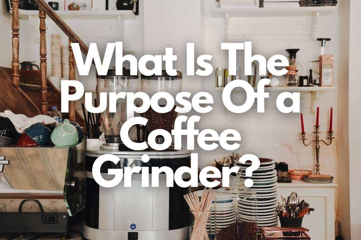 What Is The Purpose Of a Coffee Grinder header image