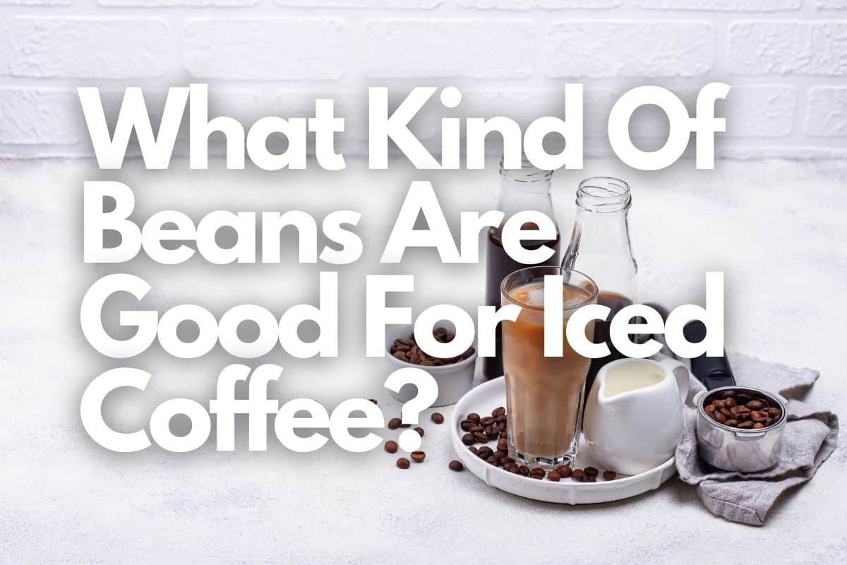 What Kind Of Coffee Is Good For Iced Coffee Roast And Style header image