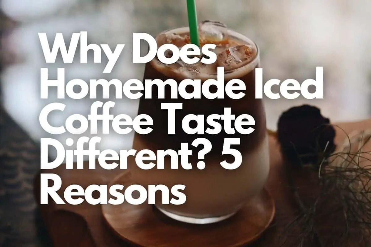 Why Does Homemade Iced Coffee Taste Different 5 Reasons header image