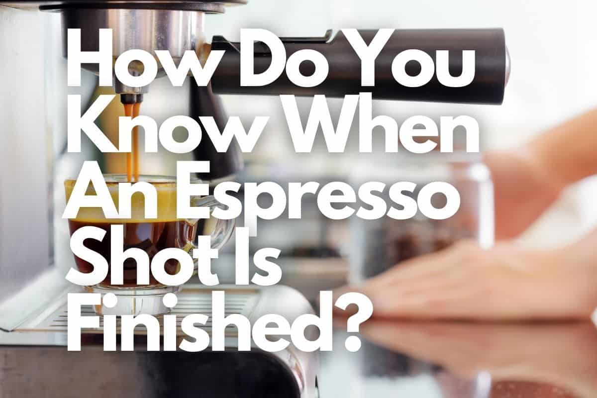 How Do You Know When An Espresso Shot Is Finished header image