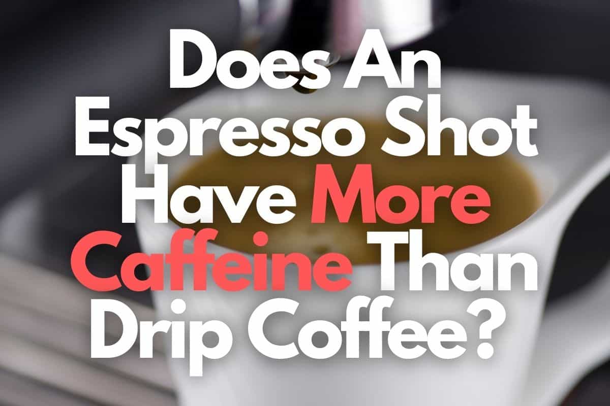 Does An Espresso Shot Have More Caffeine Than Drip Coffee header image