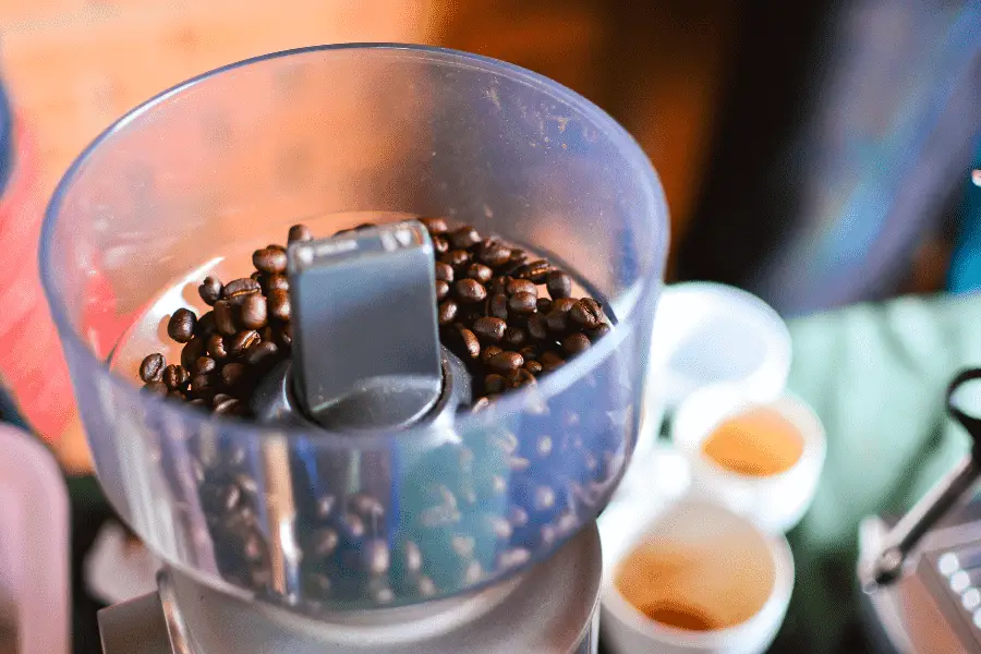 Beans in the hopper of a coffee grinder.