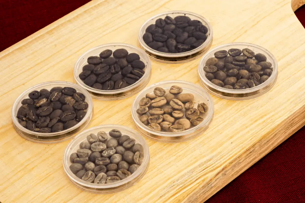 Coffee beans of different roast levels from green to very dark. 